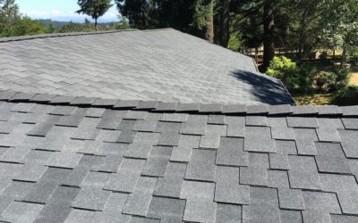 Roof Maintenance Checklist