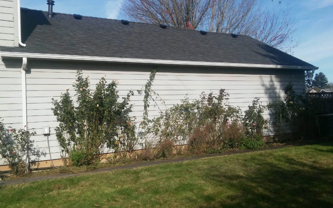 Siding