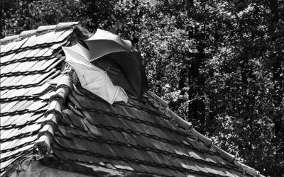 What damage can a leaky roof cause?