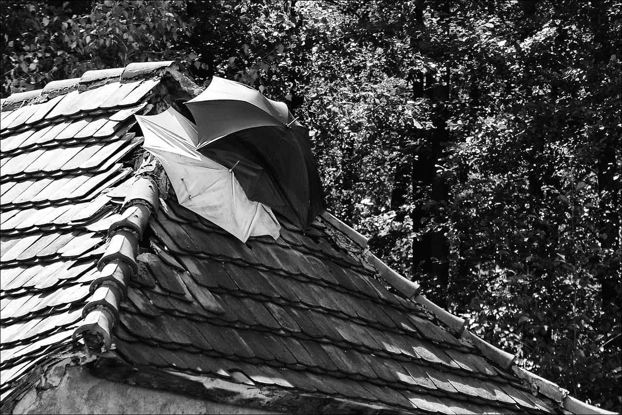 What damage can a leaky roof cause?