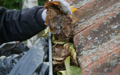 How to Clean Your Gutters: A Simple Guide